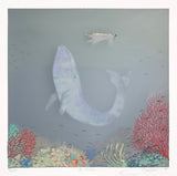 The Whale. Special edition 45/50. -last unit available-