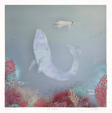 The Whale. Special edition 47/50. -edition about to be sold out-