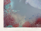 The Whale. Special edition 47/50. -edition about to be sold out-